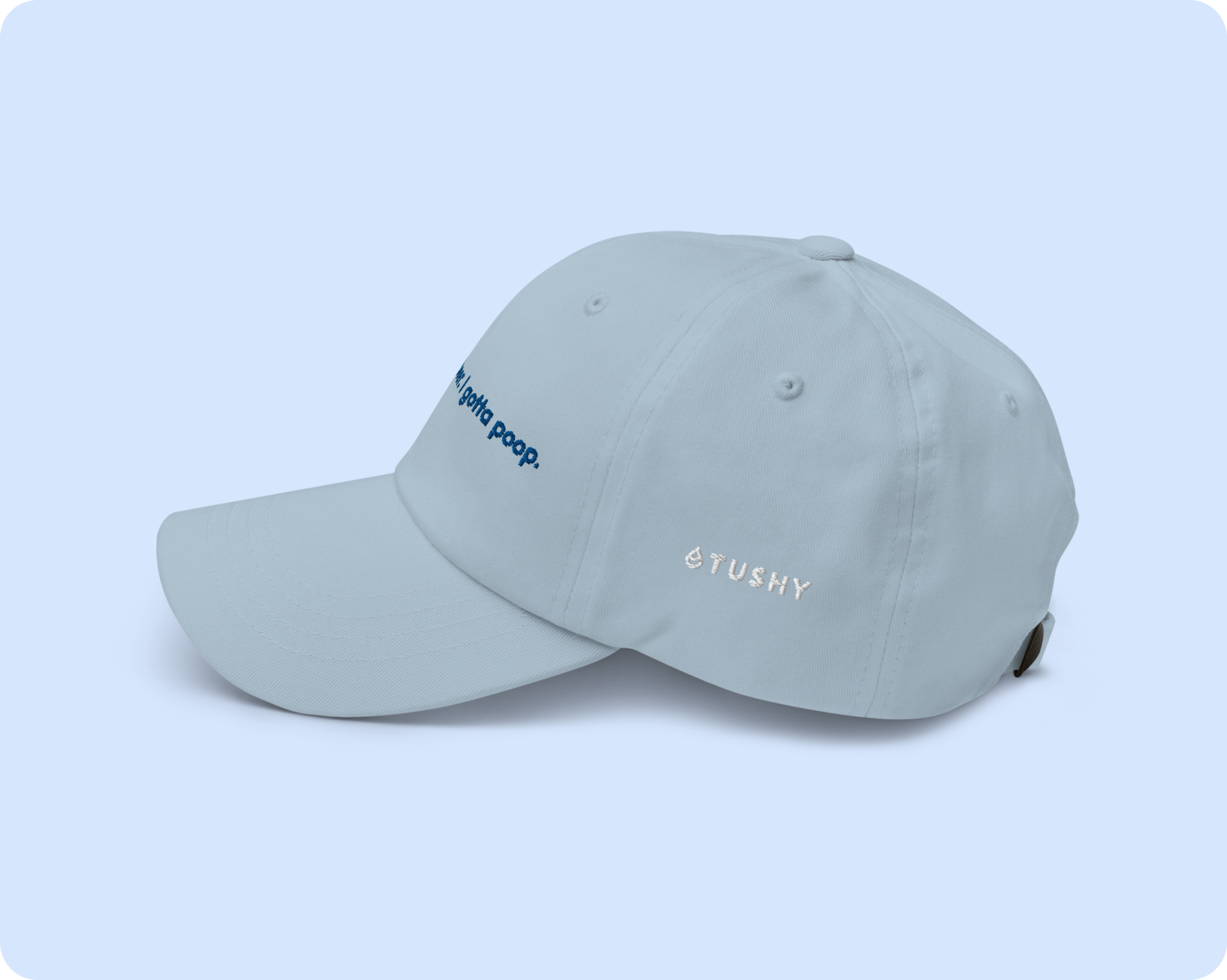 Dad Hat: TUSHY X Narragansett Beer - Blue - Image 2